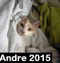 Andre 2015